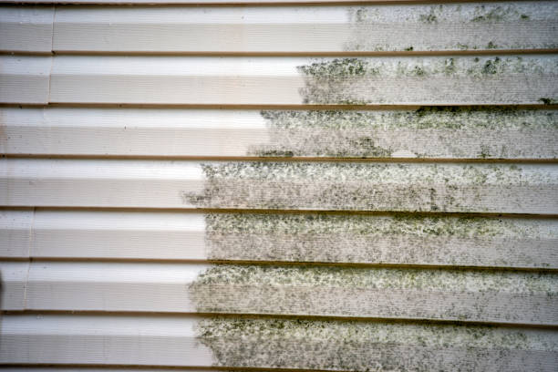 Best Brick Veneer Siding  in New Richmond, WI