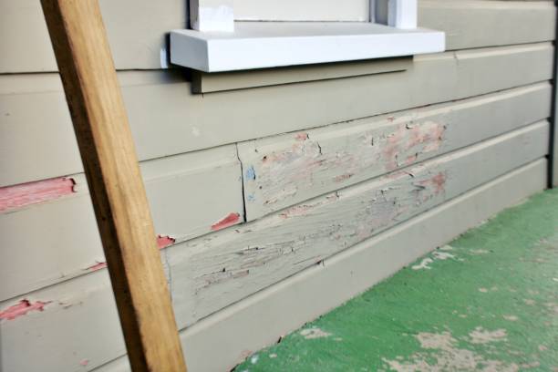 Best Steel Siding Installation  in New Richmond, WI